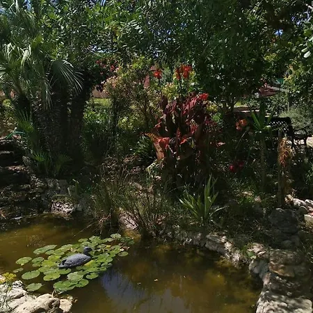 Vivienda Rural La Choza Сasa de vacaciones